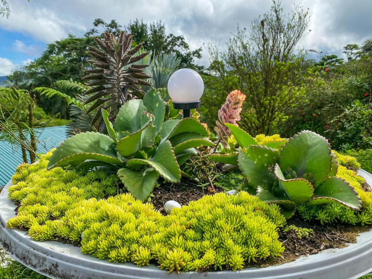 Retiro Del Lago Arenal Lodge El Castillo Zewnętrze zdjęcie